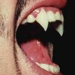 Custom Fangs Services – Boutique du Vampyre