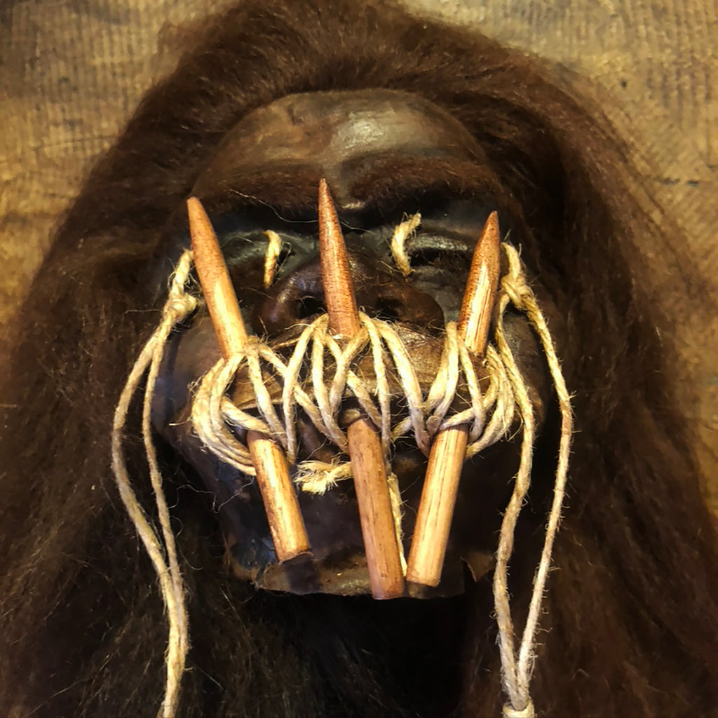 Shrunken Heads - Museum Quality