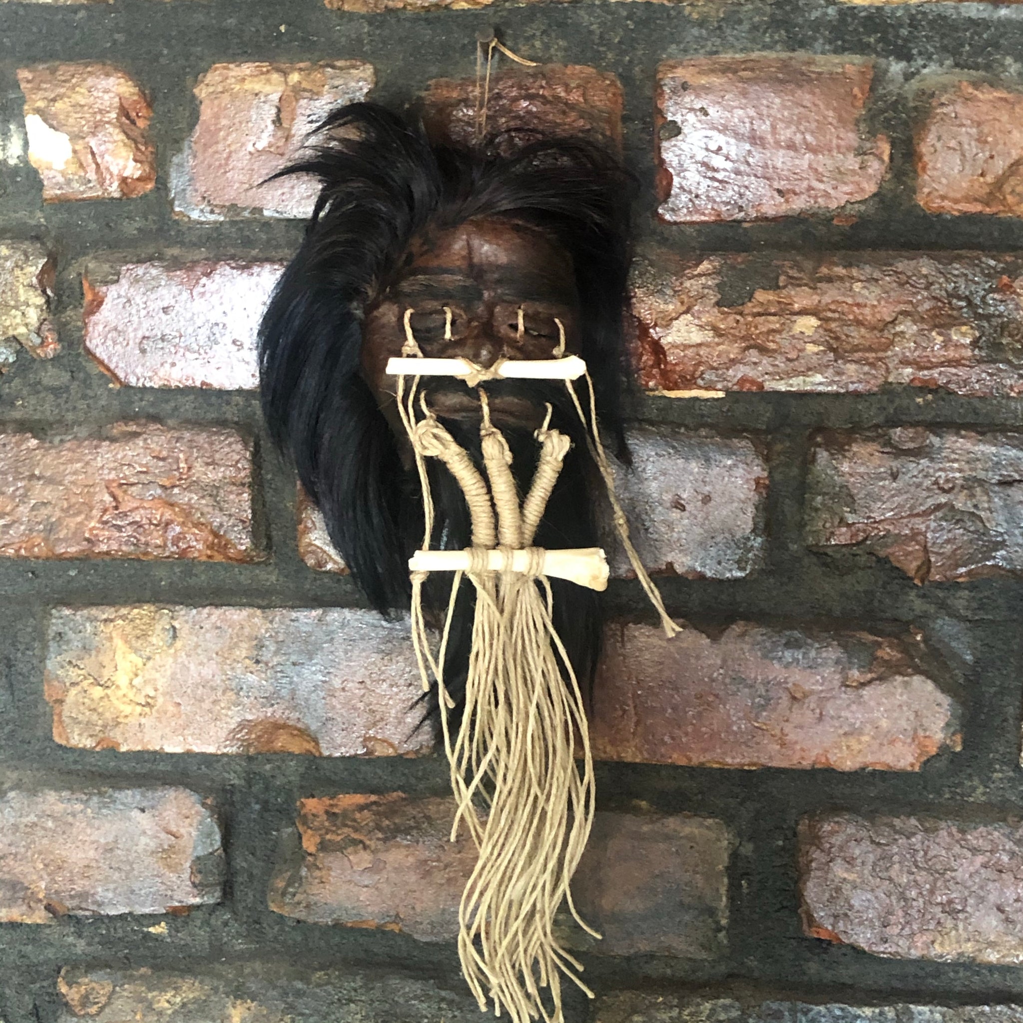 シュランケンヘッド MASA SCLUP Shrunken Heads - Museum Quality – Boutique du Vampyre