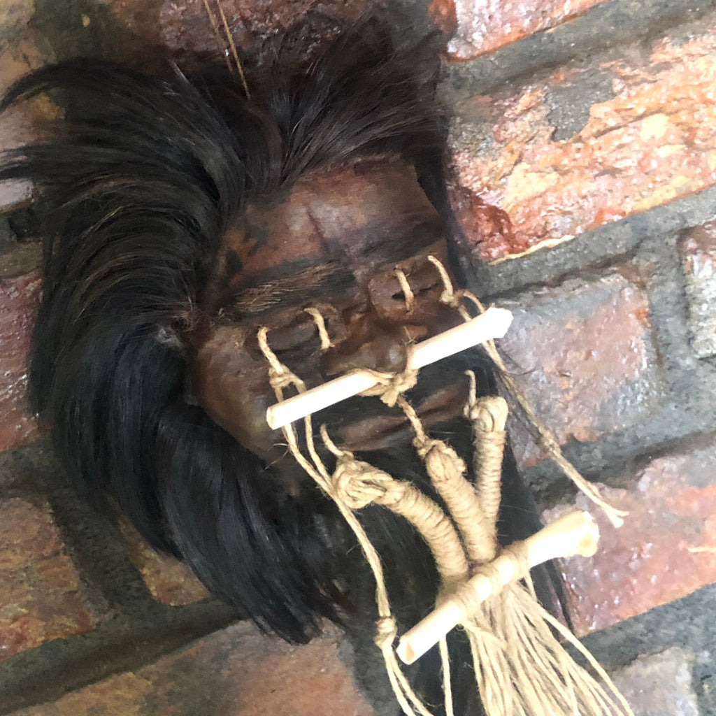 Shrunken Heads - Museum Quality